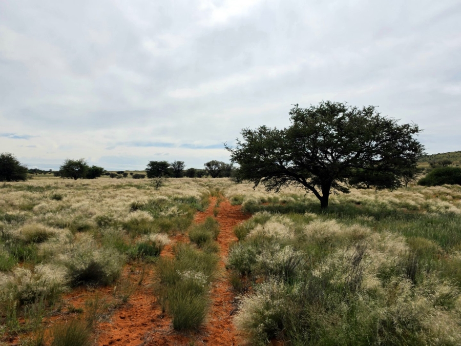 Commercial Property for Sale in Griekwastad Rural Northern Cape